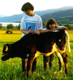 Kinder lernen die Tiere kennen!